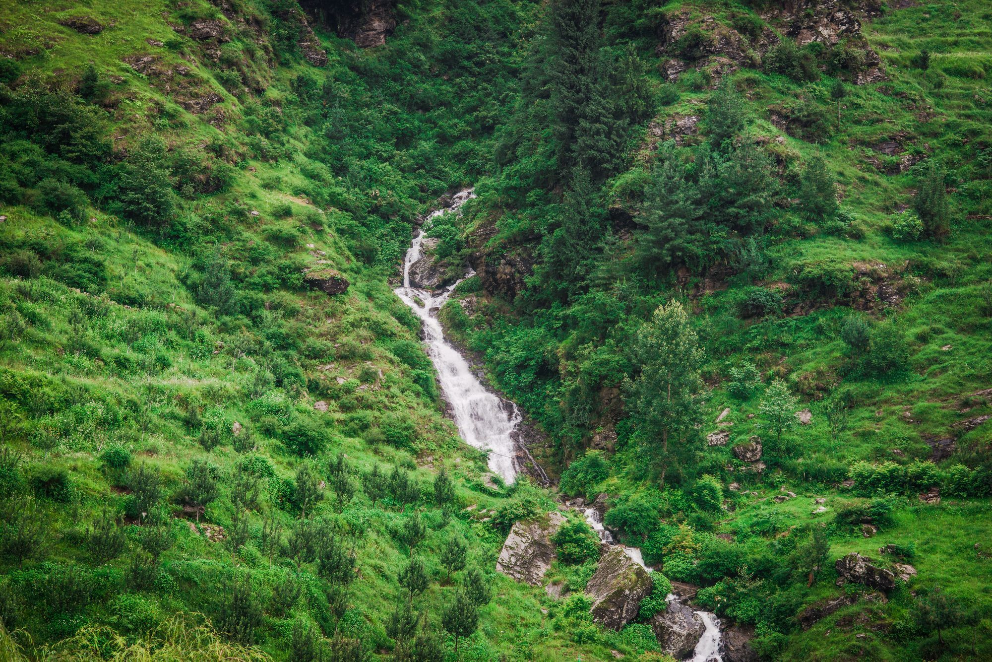 Solang Valley Resort Palchān Eksteriør billede
