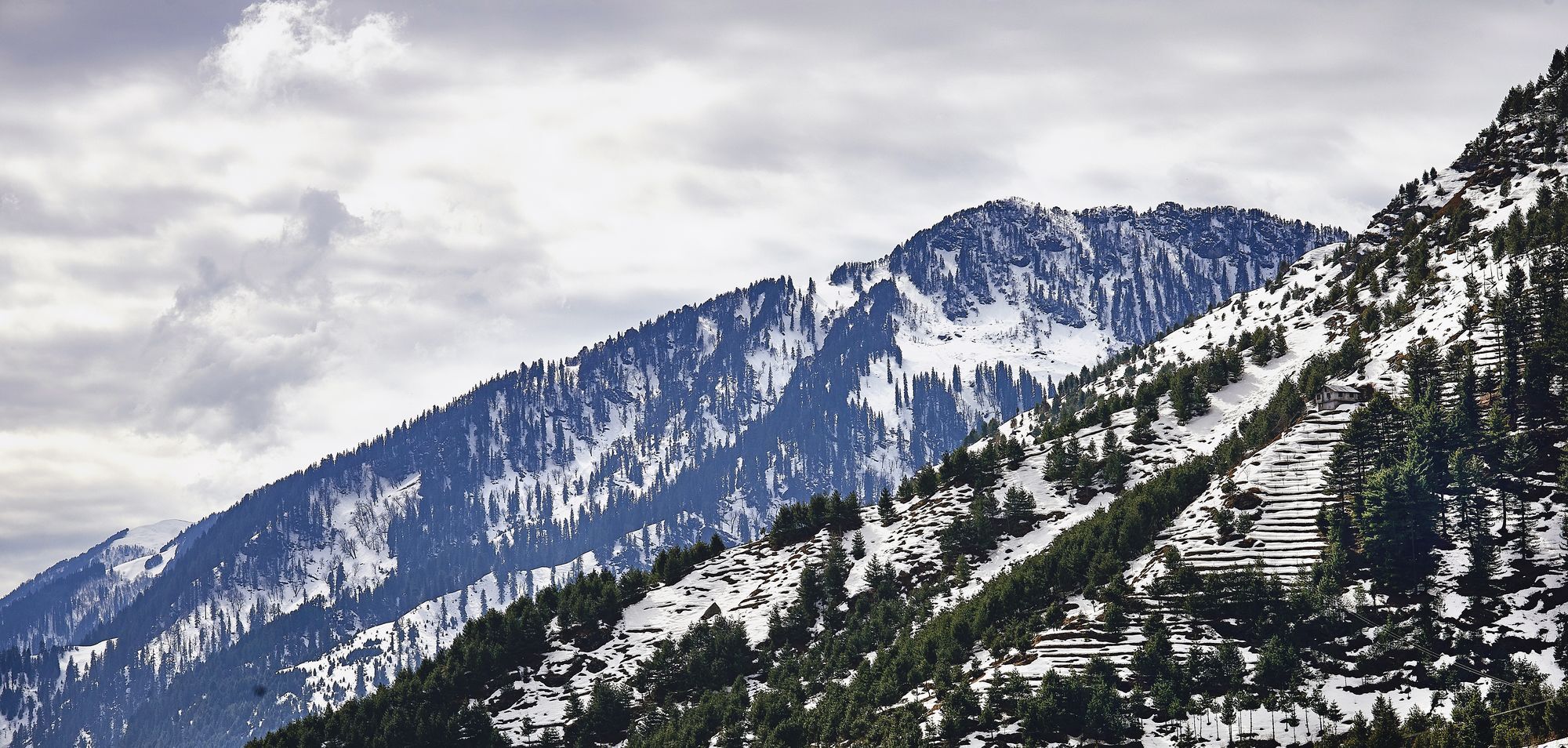 Solang Valley Resort Palchān Eksteriør billede