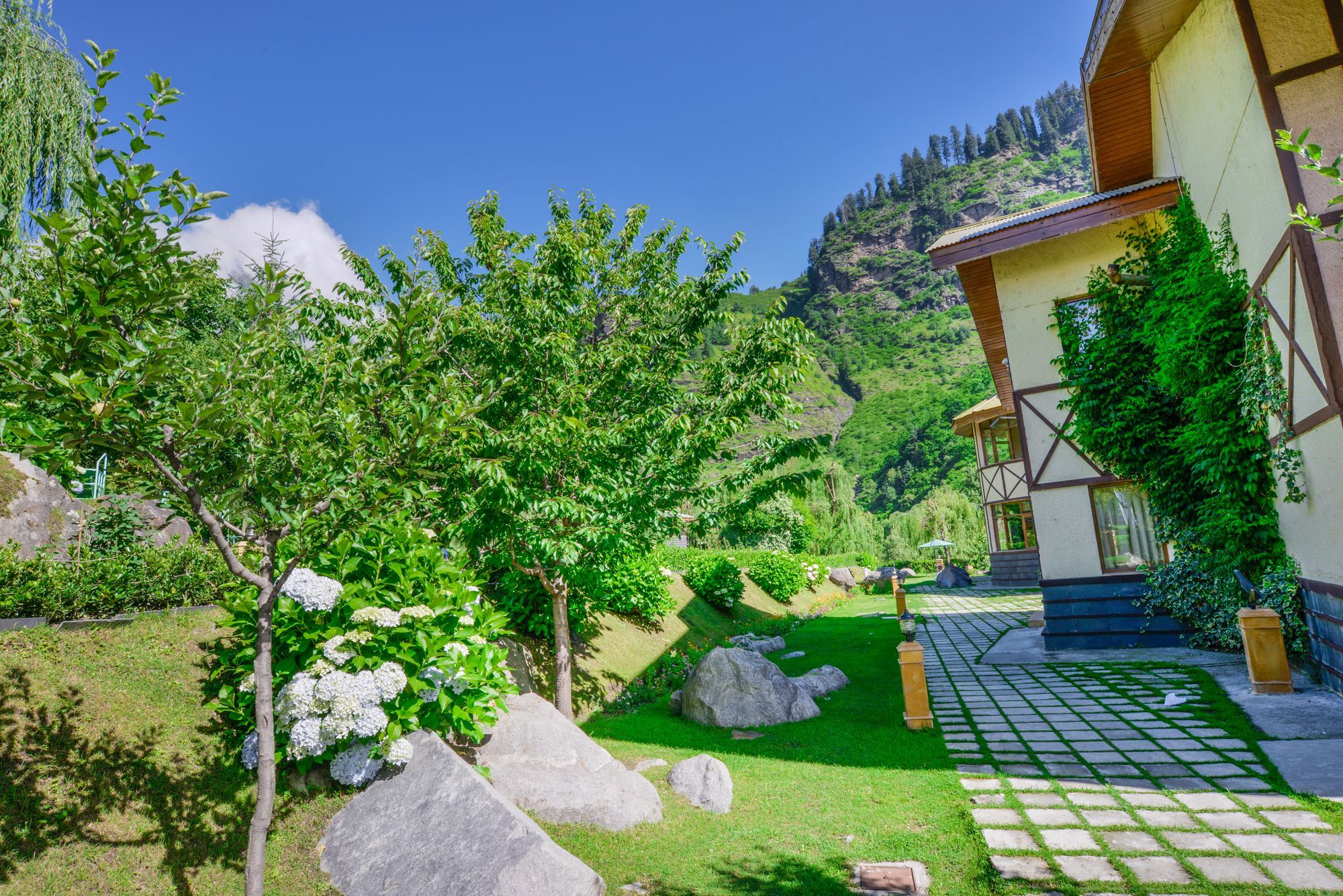 Solang Valley Resort Palchān Eksteriør billede