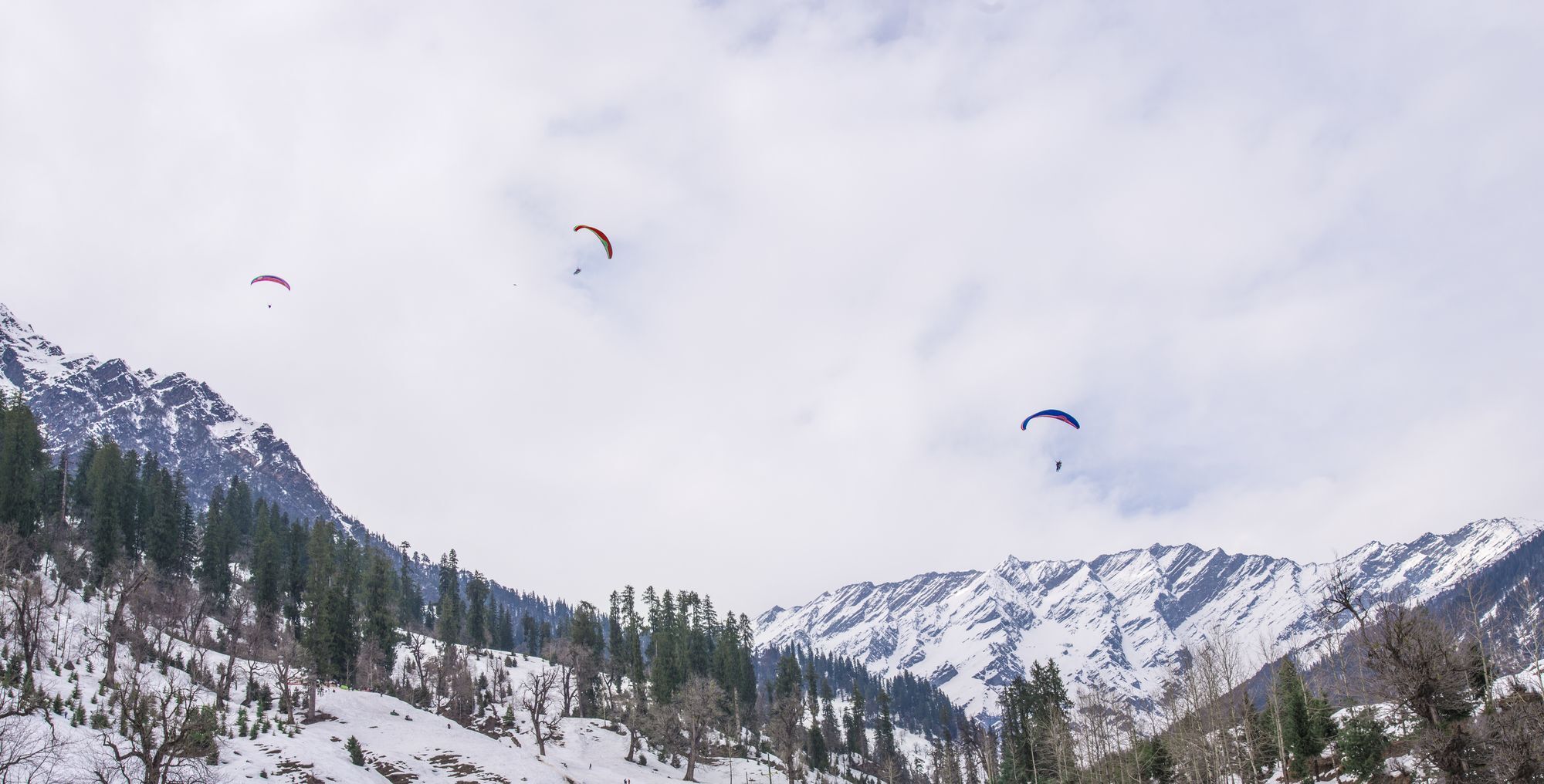 Solang Valley Resort Palchān Eksteriør billede